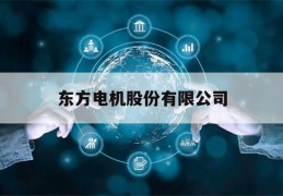 东方电机股份有限公司(东方电机股份有限公司董事长)