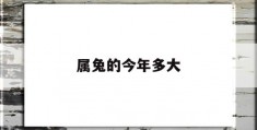 属兔的今年多大(属兔的今年多大2011年出生)