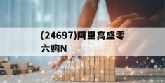 包含(24697)阿里高盛零六购N的词条