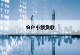 农户小额贷款(农户小额贷款利息收入减按90)