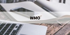 WMO(wmo数学创新讨论大赛含金量高吗)