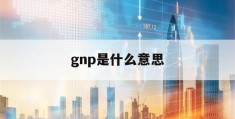 gnp是什么意思(gnp是什么意思啊 小)