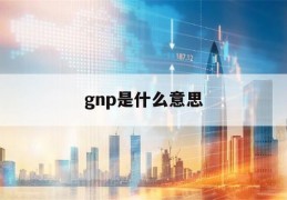 gnp是什么意思(gnp是什么意思啊 小)