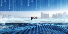 pce(pcea和pcia泵的区别)