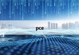 pce(pcea和pcia泵的区别)