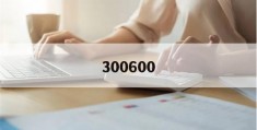 300600(300600一箱多少片)