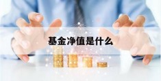 基金净值是什么(基金净值是什么时候更新的)