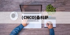 (CNCO)桑科萨的简单介绍