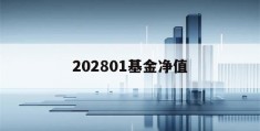 202801基金净值(202801基金净值查询)