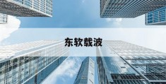 东软载波(东软载波公司简介)