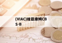 (VIAC)维亚康姆CBS-B(维亚康姆亚洲北京广告传媒有限公司)