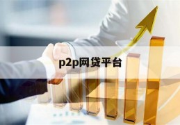 p2p网贷平台(P2P网贷平台资金借入者不包括)