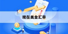 现在美金汇率(现在美金人民币汇率)