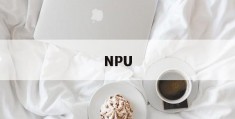 NPU(gpu是什么和cpu的区别)