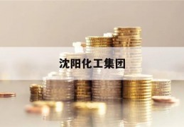 沈阳化工集团(沈阳化工集团招聘)