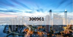 300961(300961发行价多少)