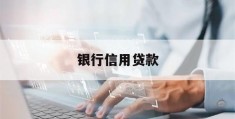 银行信用贷款(银行信用贷款额度怎么评估)