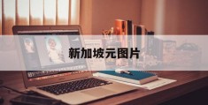 新加坡元图片(新加坡元图片大全)