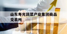 山东寿光蔬菜产业集团商品交易所(山东寿光蔬菜产业集团商品交易市场)