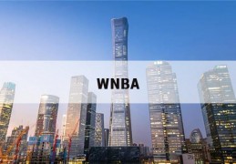 WNBA(wnba什么意思)