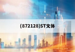 (872128)ST文体的简单介绍