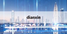 dianxin(典型案例剖析会个人发言材料)