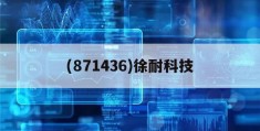 (871436)徐耐科技(江苏徐耐新材料科技股份有限公司)