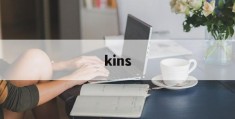 kins(kinsen歌曲)