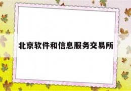 北京软件和信息服务交易所(北京软件和信息服务交易所有限公司怎么样)