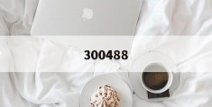 300488(300488股票行情)