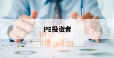 PE投资者(pe投资者有无风险)