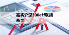 嘉实沪深300etf联接基金(嘉实沪深300基金现在值多少钱)