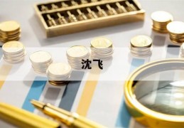 沈飞(沈飞集团公司招聘信息2023)