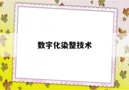 数字化染整技术(数字化染整技术是什么)