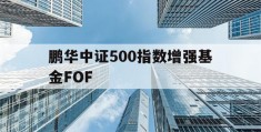鹏华中证500指数增强基金FOF(鹏华中证500指数基金160616)