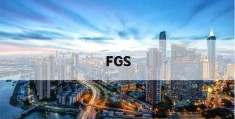 FGS(fgss是什么意思)