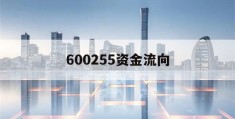 600255资金流向(600257资金流向全览)