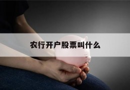 农行开户股票叫什么(农业银行卡股票开户行)