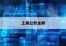 上海公积金网(上海公积金网络测试失败,请重新插卡)