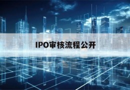 IPO审核流程公开(ipo审核状态有哪些)