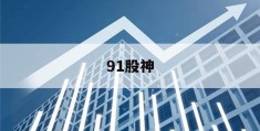 91股神(91股权方案网)