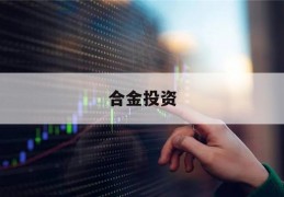 合金投资(合金投资公司简介)