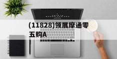 关于(11828)领展摩通零五购A的信息