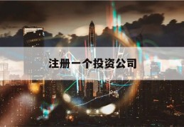 注册一个投资公司(注册一个投资公司控股另一间上市公司)