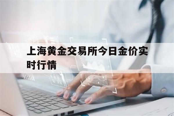 上海黄金交易所今日金价实时行情(上海黄金交易所今日金价实时行情!厂)