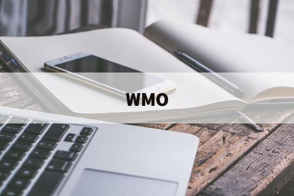 WMO(wmo数学创新讨论大赛含金量高吗)