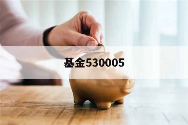 基金530005(建信优化基金530005)