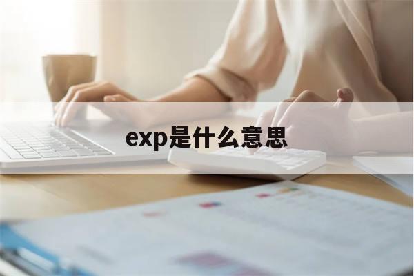 exp是什么意思(exp是什么意思英文)