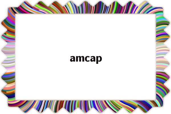 amcap(amcap怎么设置中文)