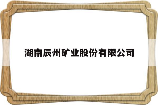 湖南辰州矿业股份有限公司(湖南辰州矿业股份有限公司招聘)